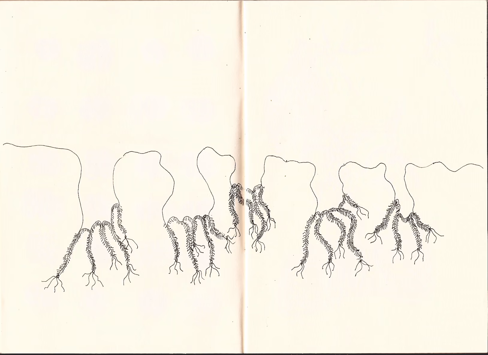 Surreal organisms — 8 of 11