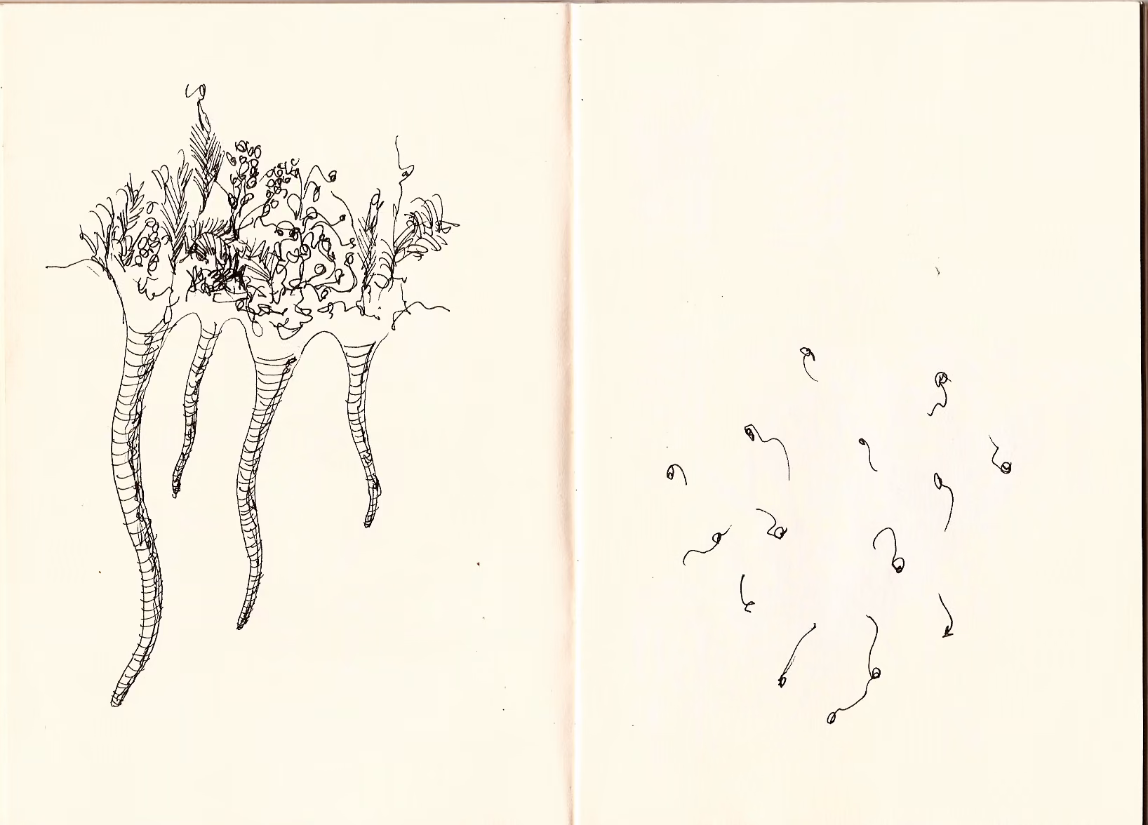 Surreal organisms — 10 of 11