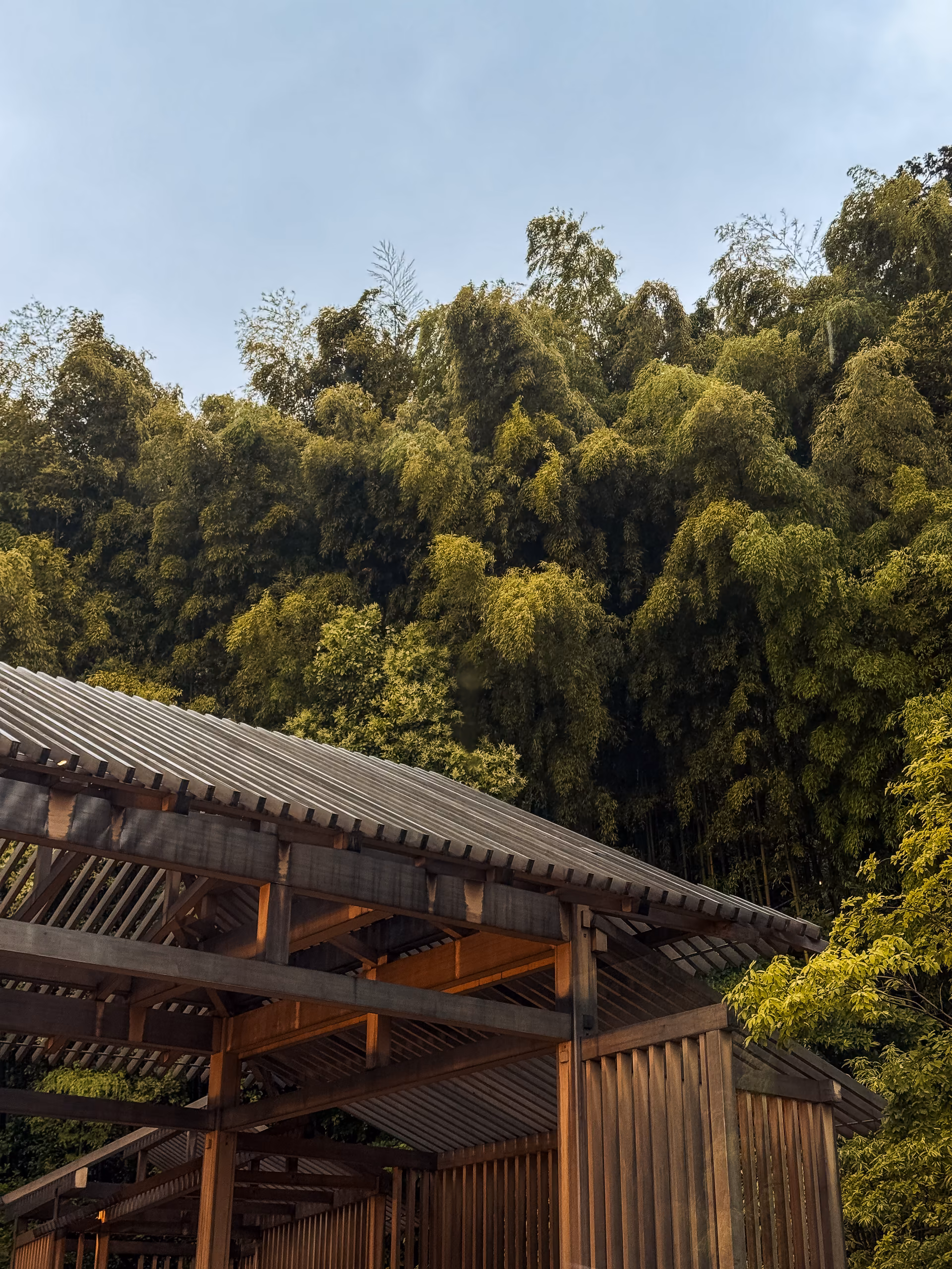 Banyan Tree Kyoto — photography by Adrien Lahoussaye
